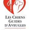 LES CHIENS GUIDES D'AVEUGLES